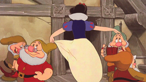 Disney Princess Perks Disney Princess Perks